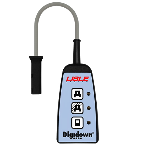 Digidown Manual Downloader, Image 3